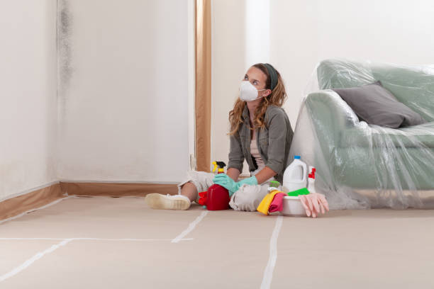 Reliable Mold Remediation contractor in Hillsdale, MI by WQB Mold Removal